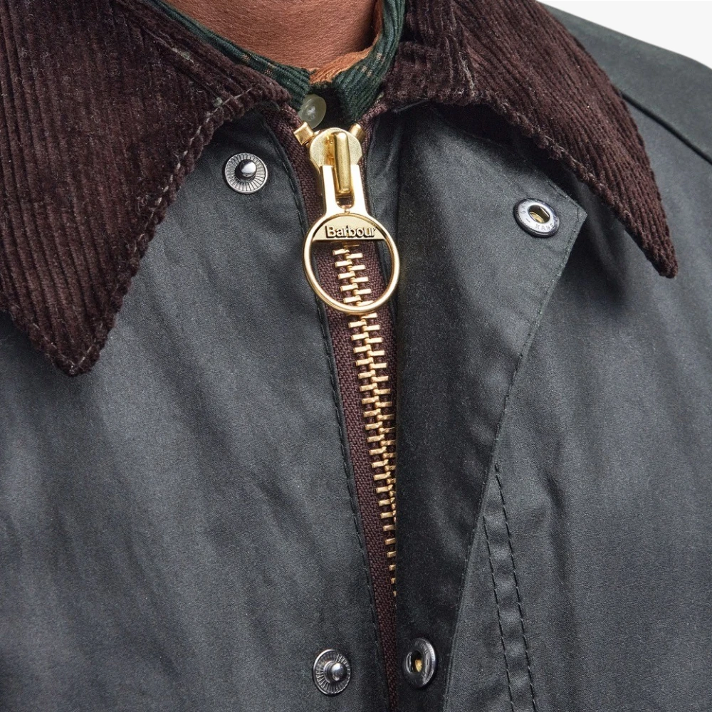 barbour bedale sage corduroy collar detail