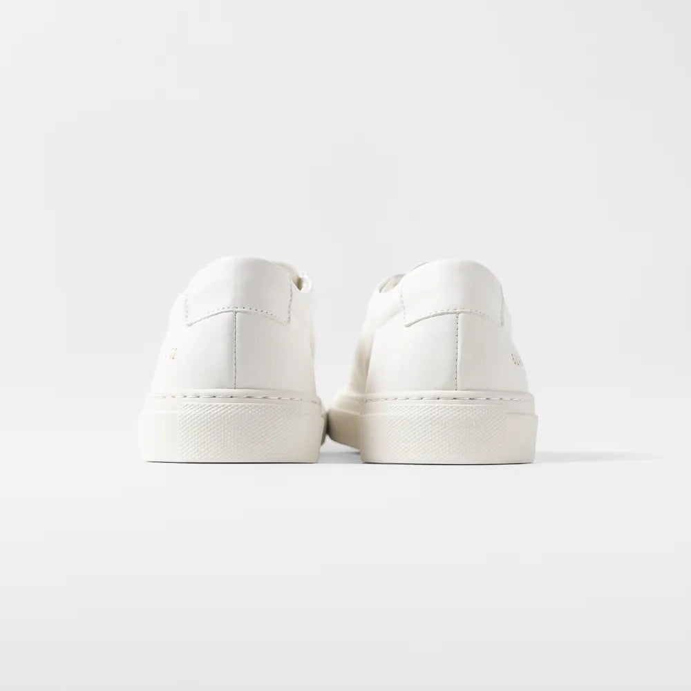 Common Projects Achilles Premium 6240 Off White 4102 Back View