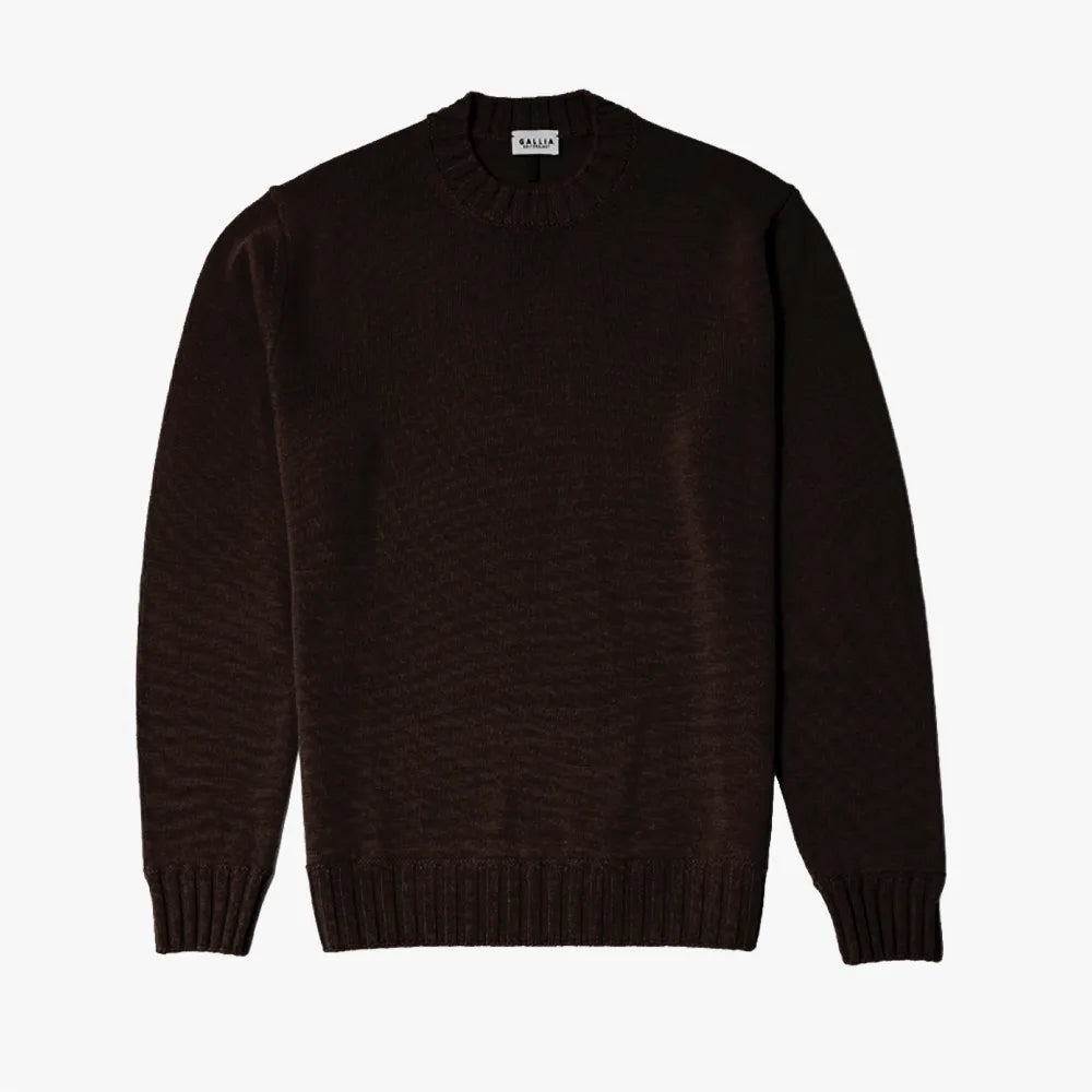 Front view of the Gallia Haydem Long-Sleeve Knit Brown highlighting its minimal silhouette and smooth knit structure.